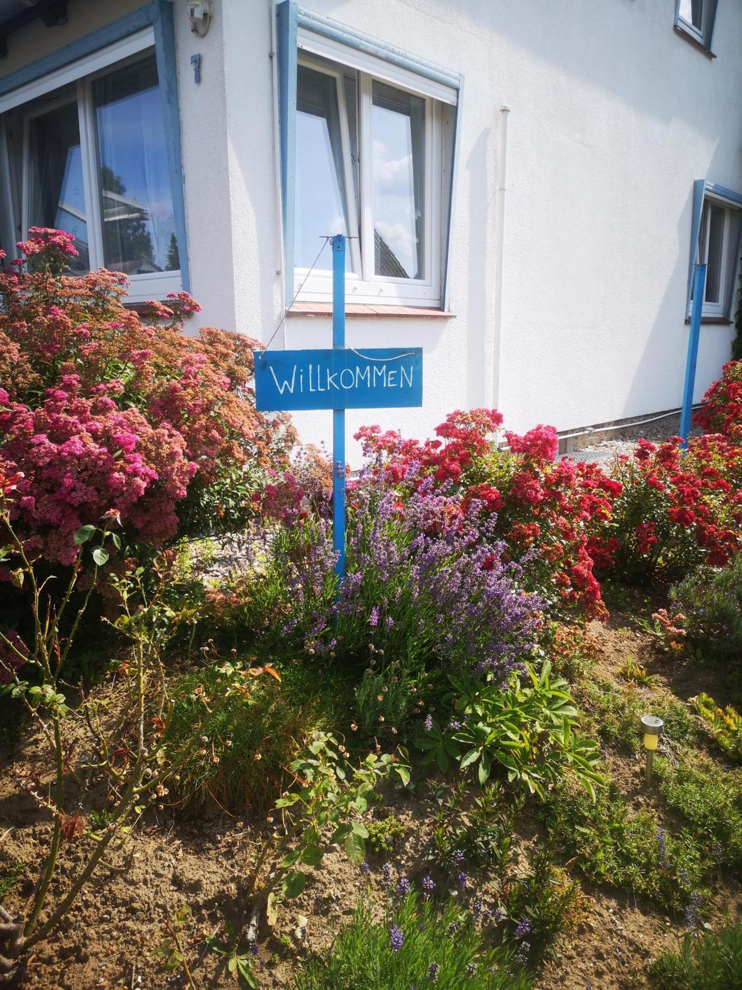 Ferienwohnungen Und Ferienhaus Im Nixenweg Hohwacht Exterior photo